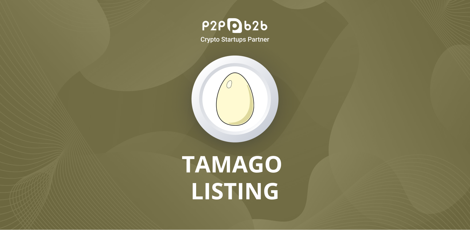 tamago crypto price today