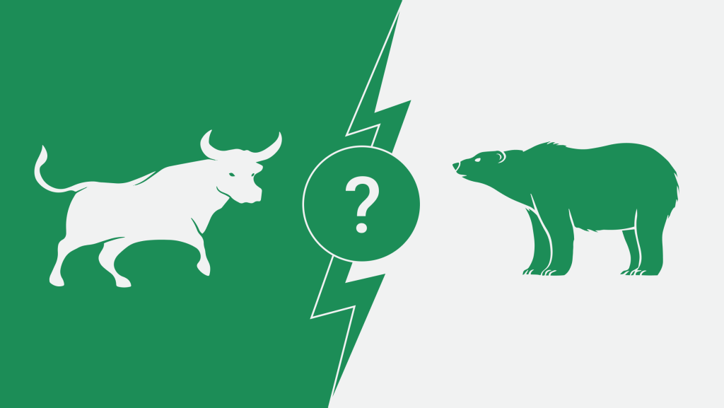 bull market and bear market