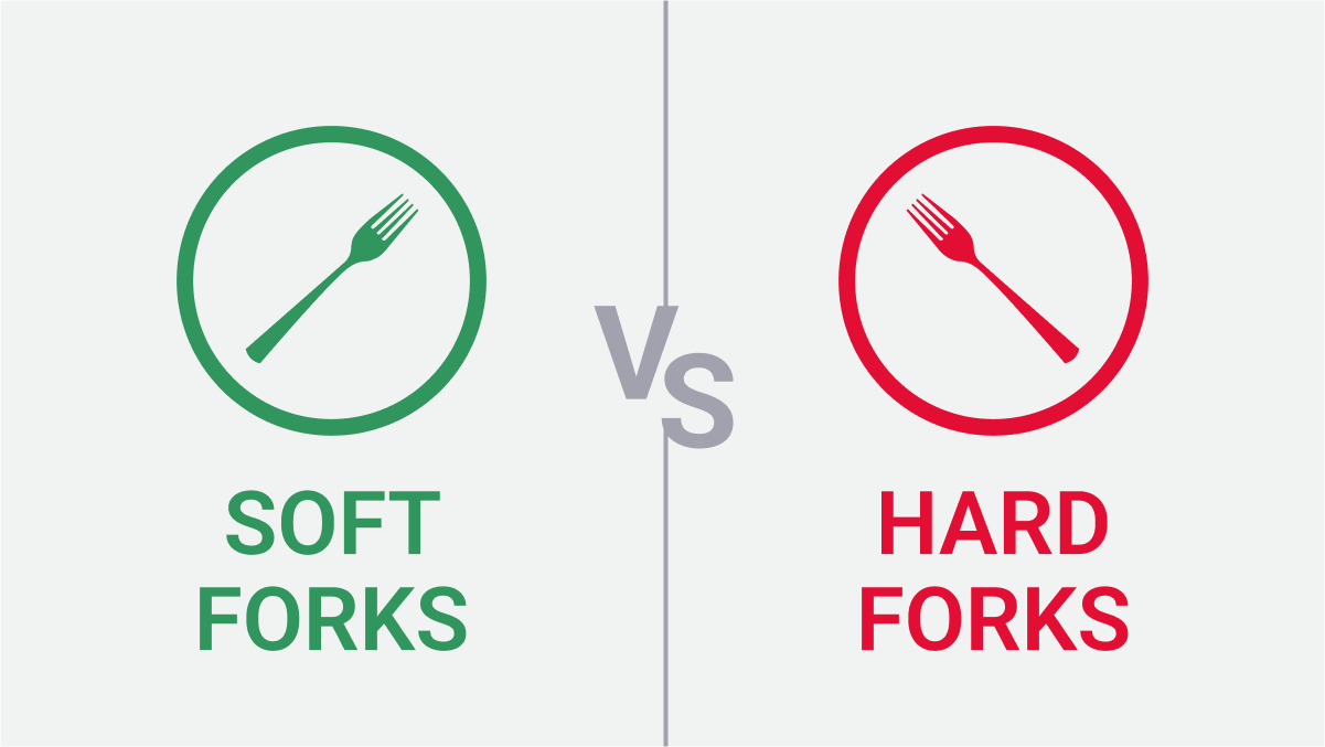 Hard Forks vs Soft Forks within Сryptocurrencies Сrypto Fork Explained