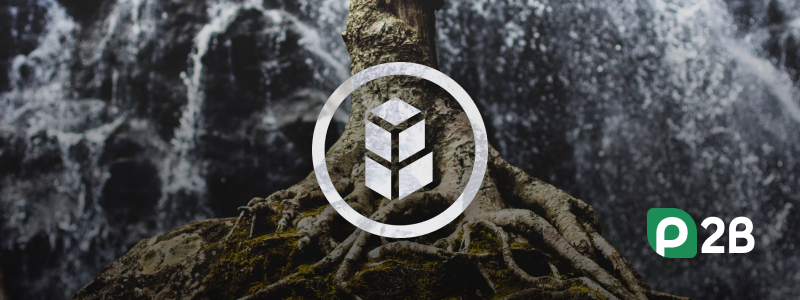 Bancor BNT token